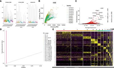 Identification of Immune Microenvironment Changes and the Expression of Immune-Related Genes in Liver Cirrhosis